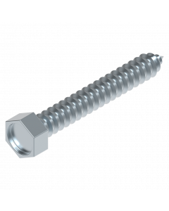 Screw 45 mm head 10 mm