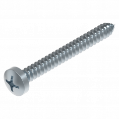 Screw 5.5 x 50 mm